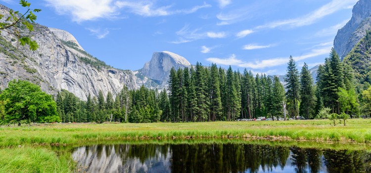 Parco Nazionale Yosemite 2020