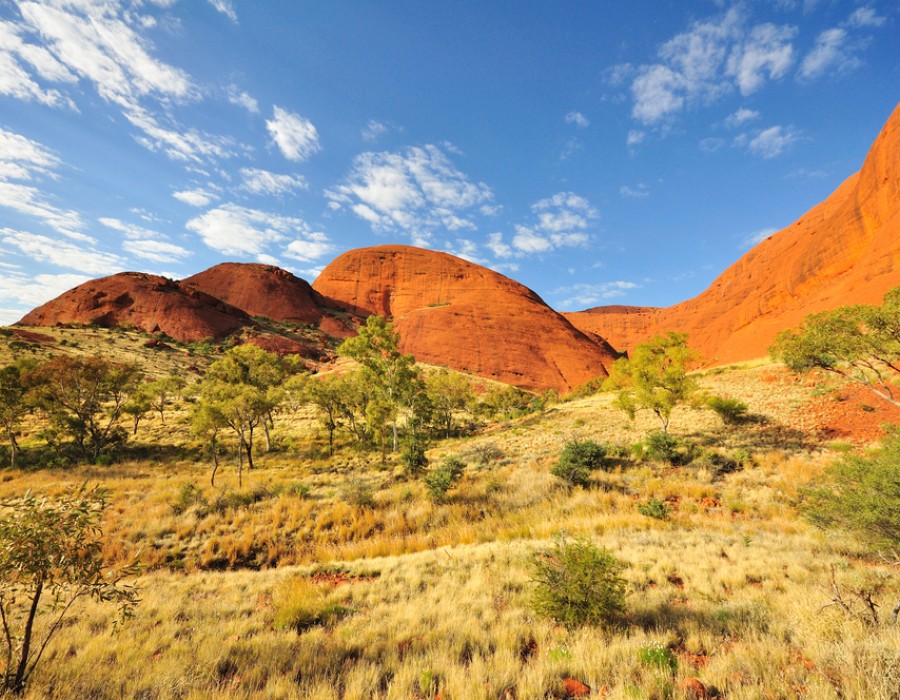 Tour Australia e Fiji