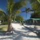 Lady Elliot Island Resort