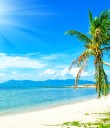 Bahamas