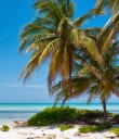Cayman