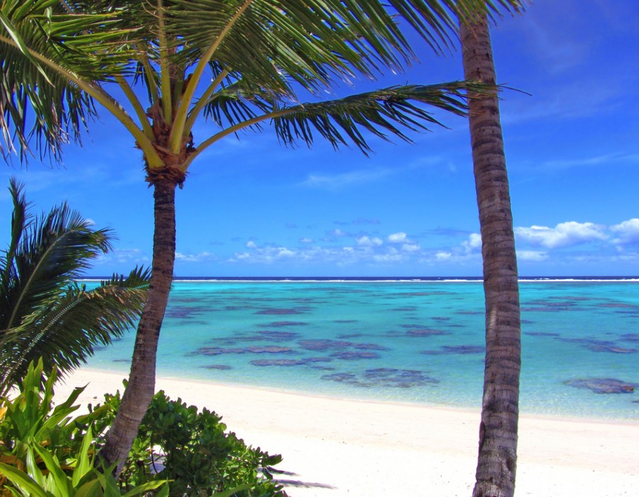 Dining Experience Pacific Resort Rarotonga