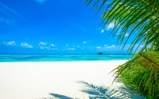 Vacanze Maldive