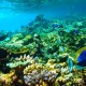 Robinson Club Maldives