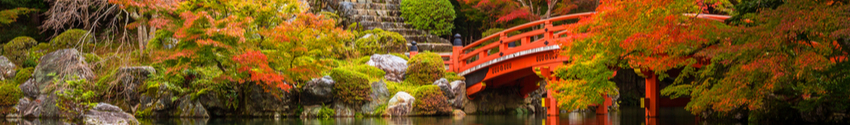 Giardino di Kyoto