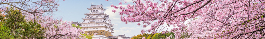 Castello di Himeji escursione