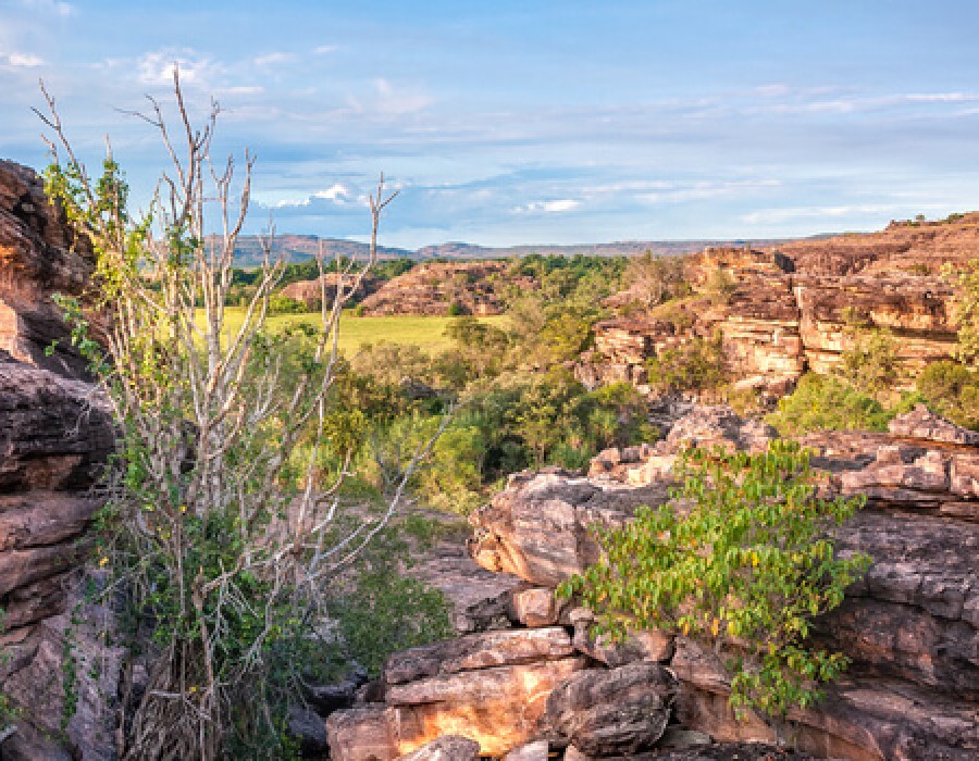 City Package Darwin