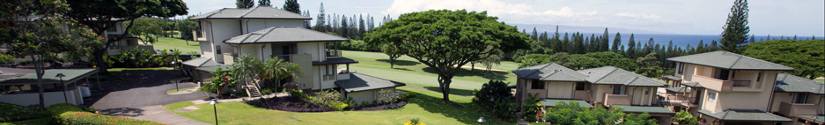kapalua villas maui