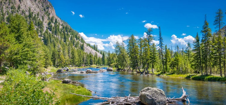 Fiume Madison - Yellowstone