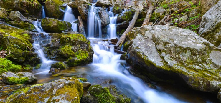 Shenandoah National Park