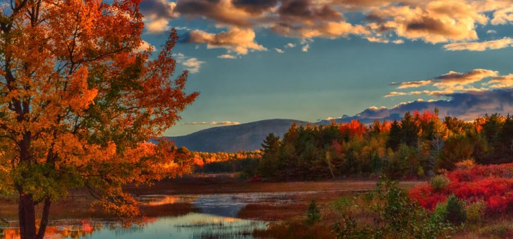 Parco Nazionale di Acadia